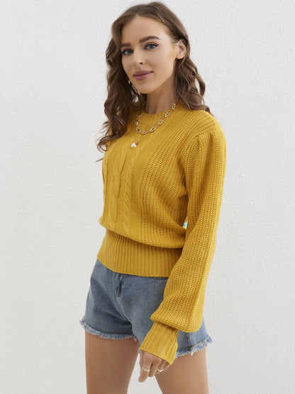 gbolsos  Twist Patten Crew Neck Pullover Sweater, Casual Lantern Sleeve Sweater For Fall & Winter, Women's Clothing