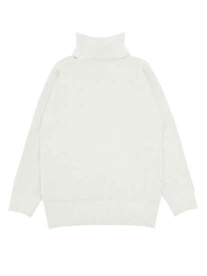 Solid Turtle Neck Pullover Sweater, Casual Long Sleeve Thermal Sweater For Fall & Winter, Women's Clothing